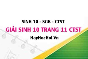 Giải Sinh 10 trang 11 Chân trời sáng tạo SGK